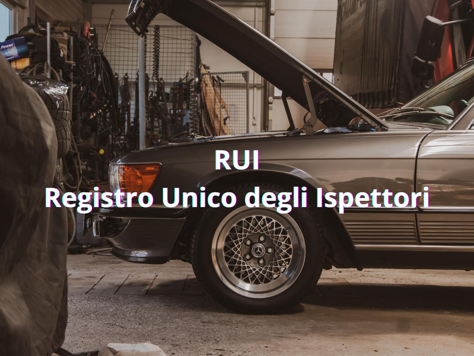 RUI - Registro Unico degli Ispettori