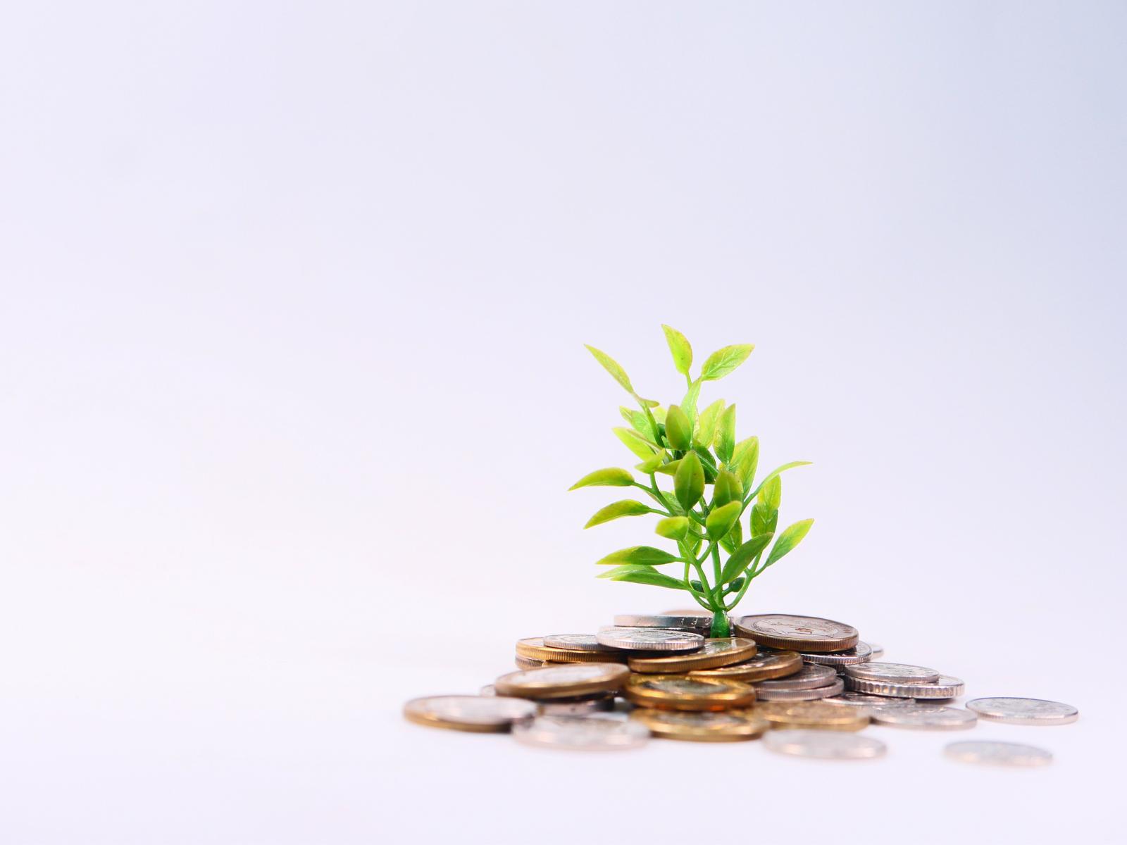 BUSINESS PLAN: lo strumento di cui nessun’impresa può più fare a meno